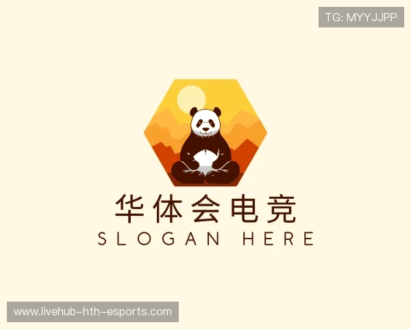 介绍华体会电竞